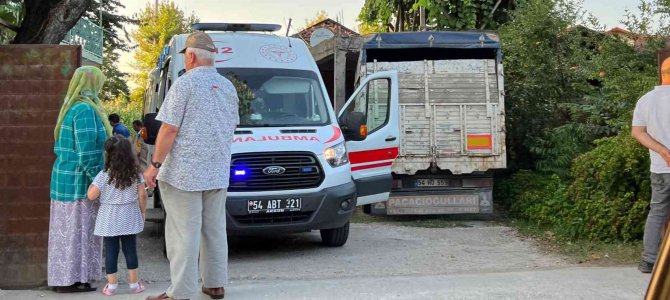 Miras Meselesinde Kan Aktı: 3 Yaralı
