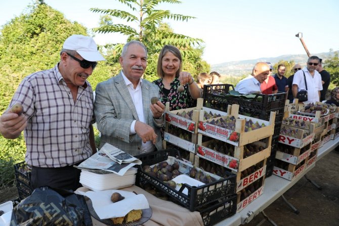 Yeşiltepe İ̇ncir Şöleni