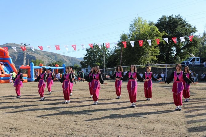 Yeşiltepe İ̇ncir Şöleni