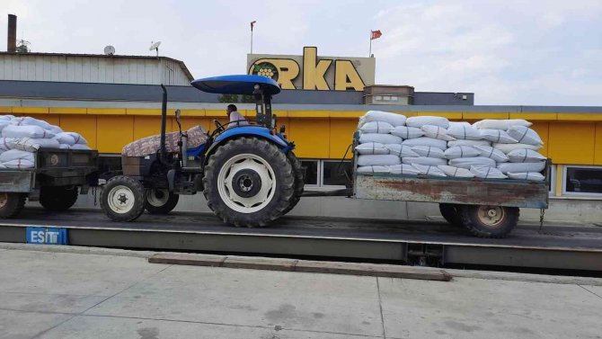 Tmo, Turgutlu’da Kuru Üzüm Alımına Başladı