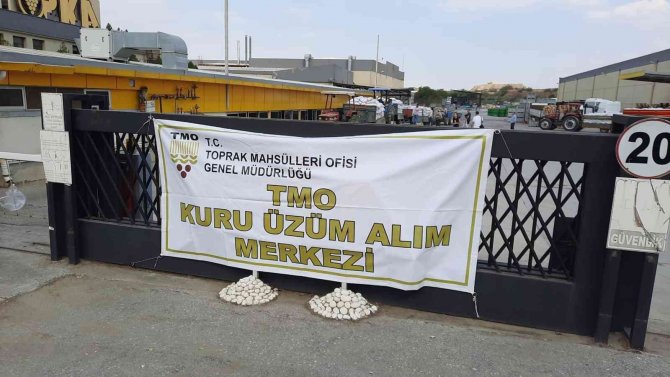 Tmo, Turgutlu’da Kuru Üzüm Alımına Başladı