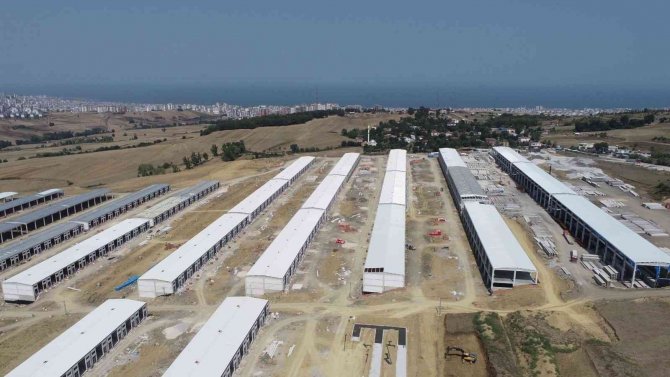 Demir: “Toybelen, Türkiye’nin Örnek Projelerinden Biri”