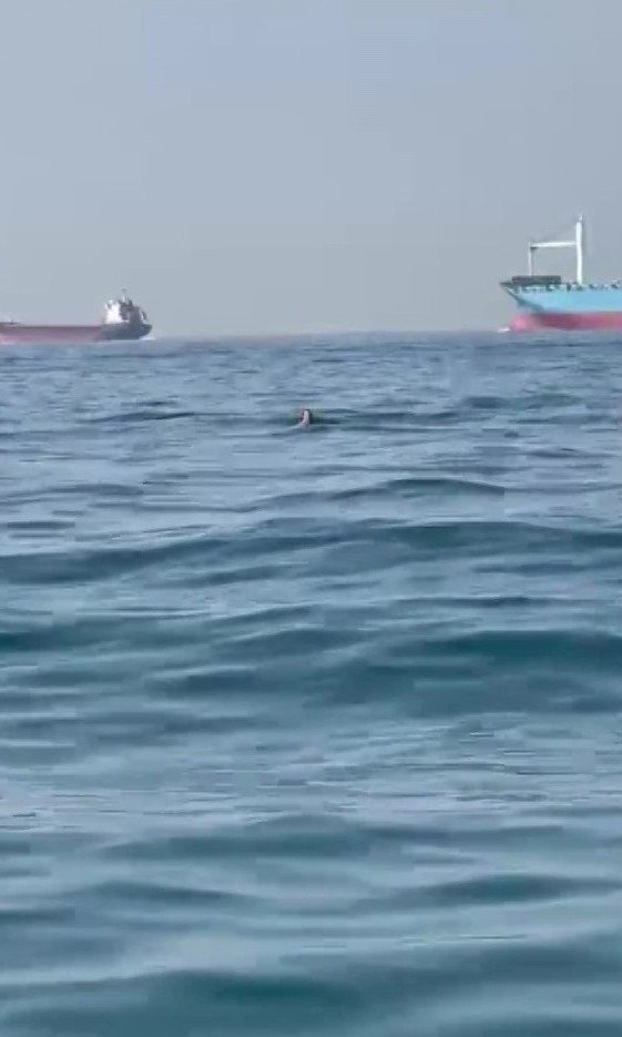 İ̇stanbul Boğazı’nda Can Pazarı