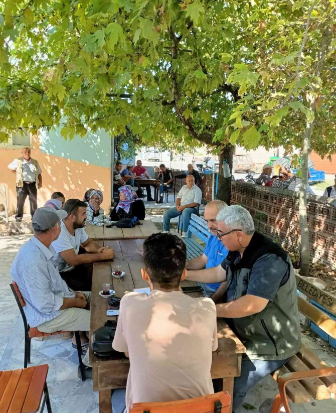 18 Aileye Koyun Alımı İçin Hibe Desteği