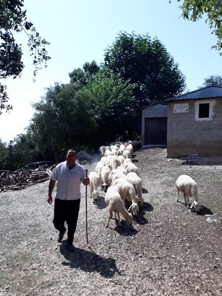 Orman Köylerinde 389 Aileye 21 Milyon Tl Kredi Desteği