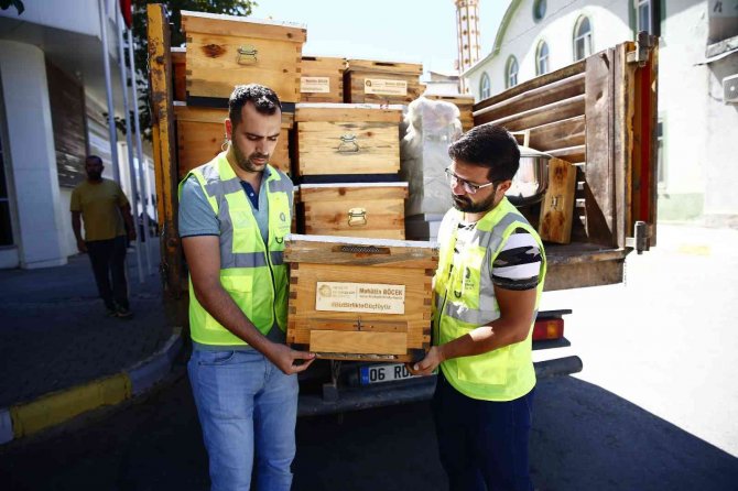 Antalya Büyükşehir’den Arıcıya Kovan Desteği