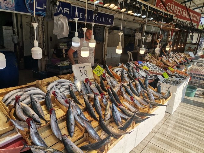 Bandırma’daki Balık Tezgahlarında Bolluk Var