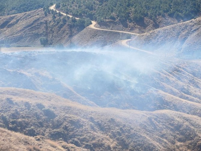 Bingöl’de Otluk Yangını Ormana Sıçramadan Söndürüldü