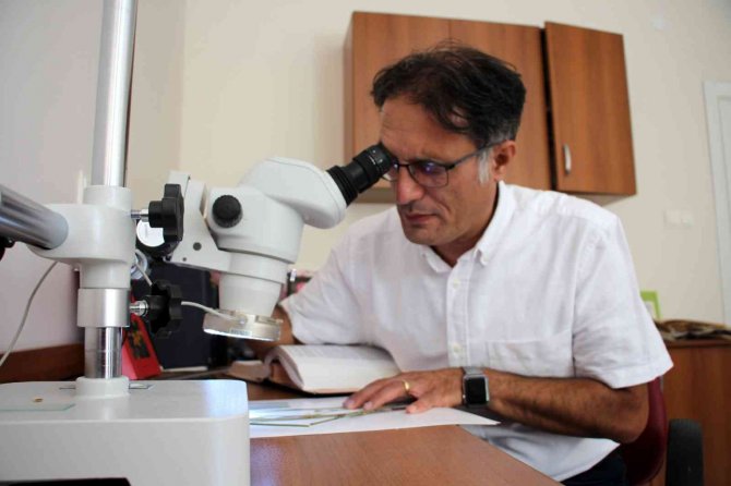 Tüm Türlerin Yüzde 18’i Bu Şehirde