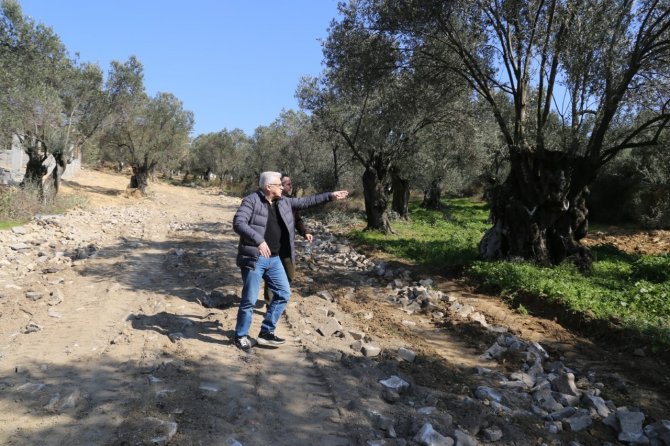 Pelitköy’e Yeni Pazar Yeri Kuruldu