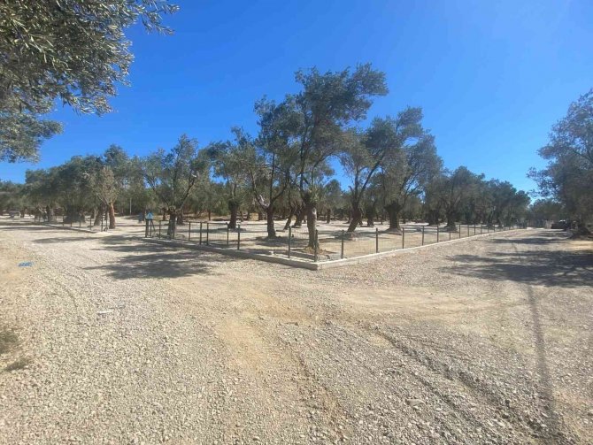 Pelitköy’e Yeni Pazar Yeri Kuruldu