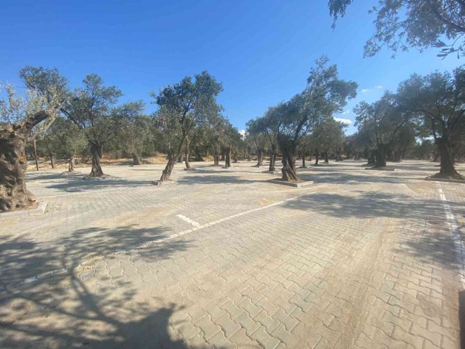 Pelitköy’e Yeni Pazar Yeri Kuruldu