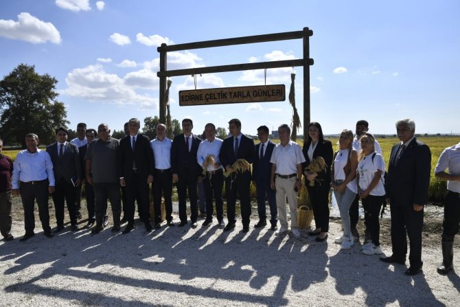 Edirne, Çeltik Üretiminde Türkiye’de Öncü