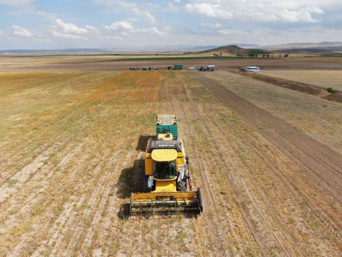 Okuldaki Bilginin Tarlada Hasadı Yapıldı