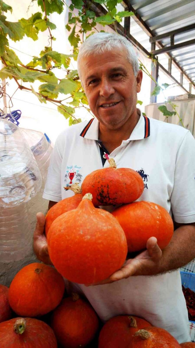 Sarıgöl’de İlk Kez Japon Kabağı Yetiştirdi