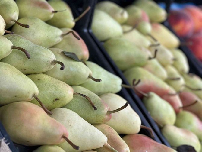 İ̇stanbul’da Sebze Ve Meyve Halinde Bolluk Yaşanıyor