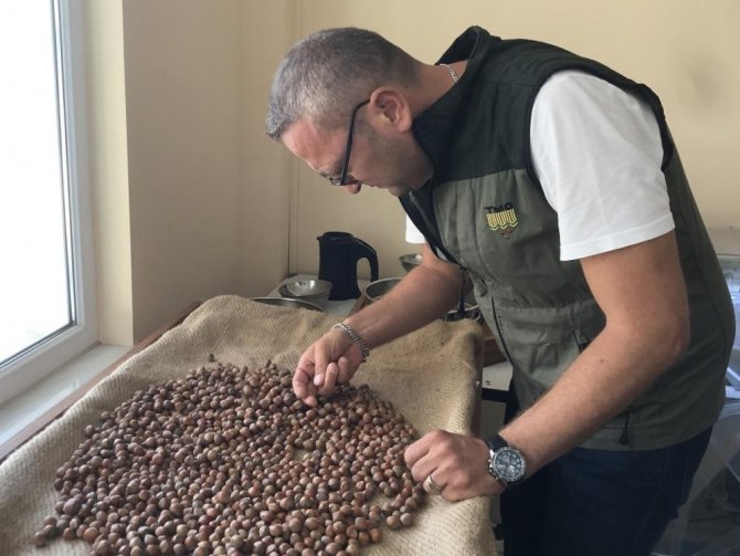 Serbest Piyasada 46 Lira Olan Fındığı Randıman Farkı İle Tmo’ya 57.75 Liradan Sattı