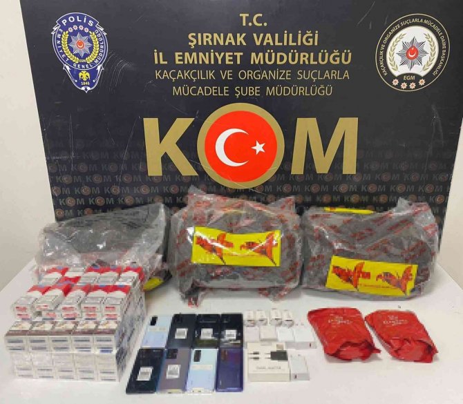 Şırnak’ta Kaçakçılık Ve Asayiş Operasyonu: 29 Gözaltı