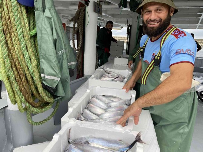 Karadeniz’de Palamut Fışkırdı
