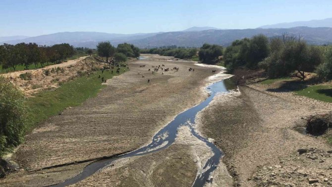 Geçtiğimiz Dönemlerde Su Sıkıntısı Çeken Üreticiler Bu Sene Rahat Bir Sezon Geçirdi