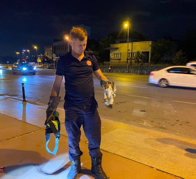 Motora Sıkışan Kediyi Önce Kurtardılar Sonra Sahiplendiler