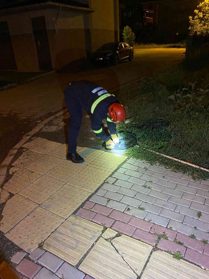 Yalova’da Eve Giren Yarasayı İtfaiye Ekipleri Çıkardı