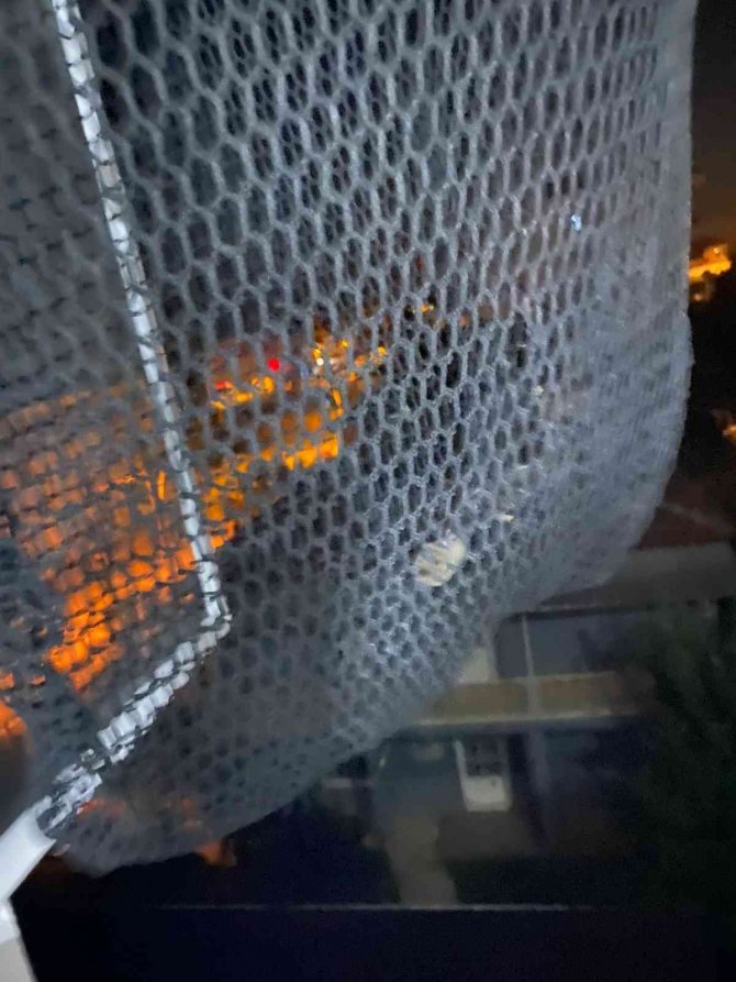 Yalova’da Eve Giren Yarasayı İtfaiye Ekipleri Çıkardı