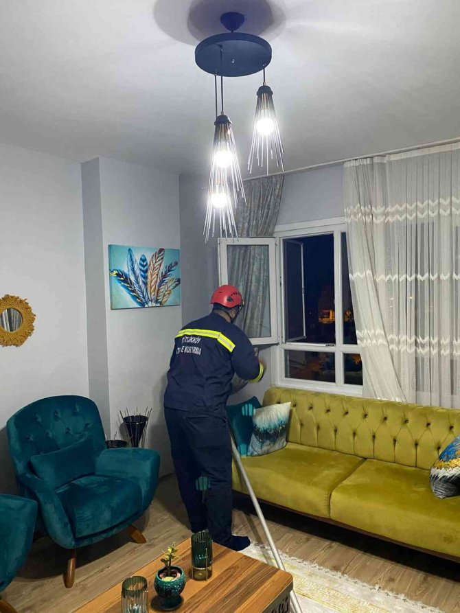 Yalova’da Eve Giren Yarasayı İtfaiye Ekipleri Çıkardı
