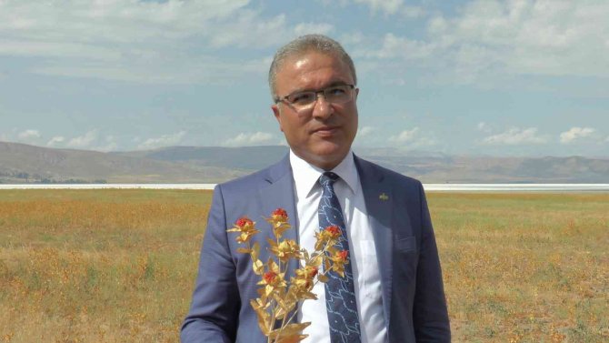 Okuldaki Bilginin Tarlada Hasadı Yapıldı