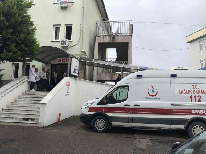 Zonguldak’ın 46 Bin Nüfuslu İlçesinde 2 Yıldır Bebek Doğmuyor