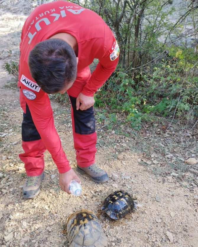 Kuyuda Mahsur Kalan Kaplumbağaları Akut Ekipleri Kurtardı