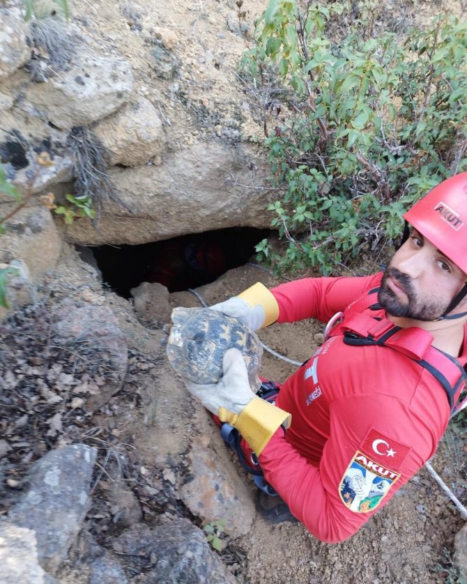 Kuyuda Mahsur Kalan Kaplumbağaları Akut Ekipleri Kurtardı