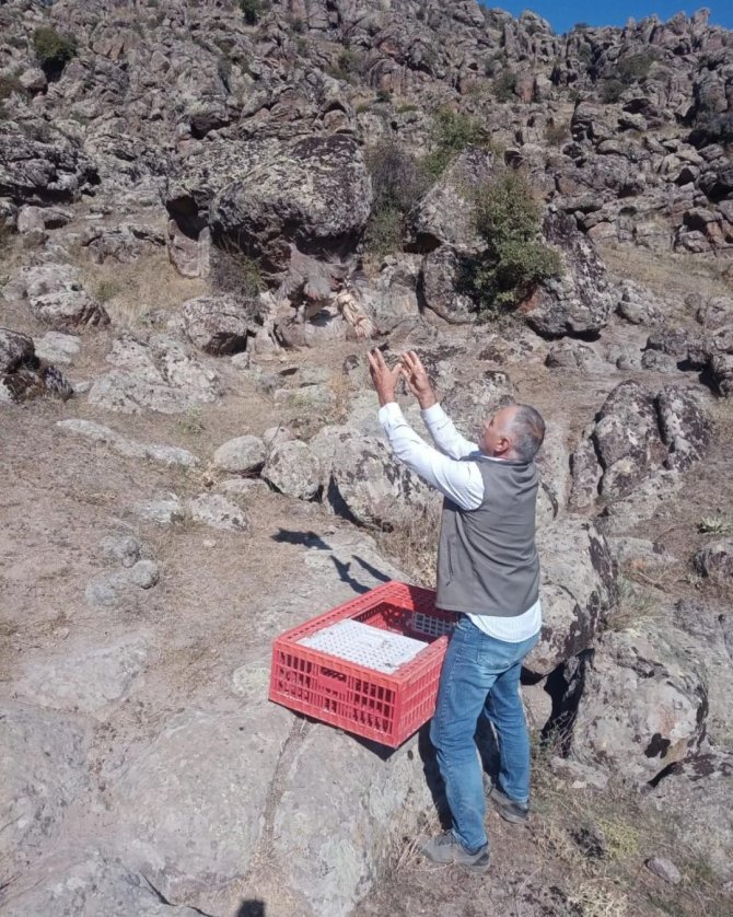 Afyonkarahisar’da Dağları Kınalı Keklik Süsledi