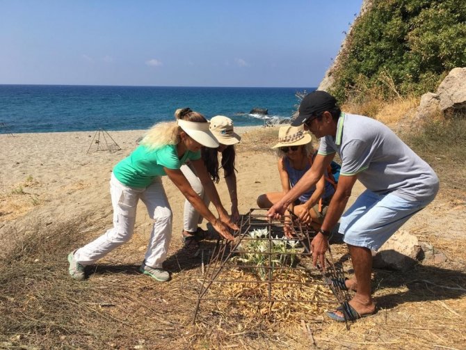 Kum Zambağını Koparana 220 Bin Tl’ye Varan Ceza Uyarısı