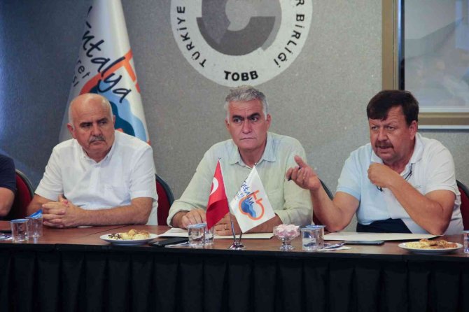 Zeytin Bu Yıl Yüz Güldürüyor