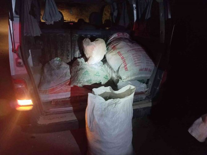 Didim’de 100 Kilogram Deniz Börülcesi Ele Geçirildi