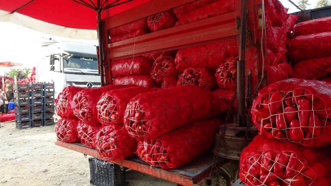 Salçalık Biberin Kilosu 12 Tl’den 10 Tl’ye Düştü
