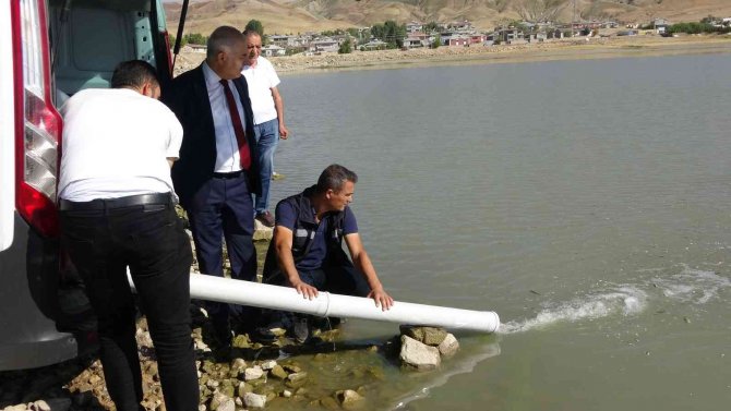 Van’da 1 Milyon Balık Göllere Bırakıldı