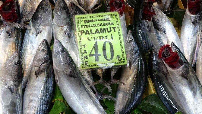 Balık Fiyatları Düştü, Vatandaşların İlgisi Arttı