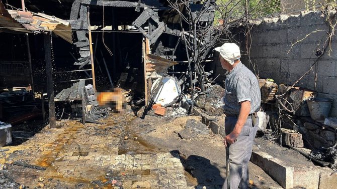 Çanakkale’de Köyde Çıkan Yangında 26 Hayvan Telef Oldu