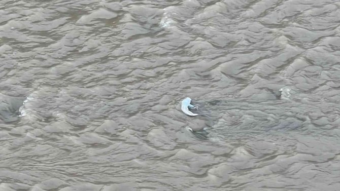 Deredeki Balık Ölümleri Tedirgin Etti