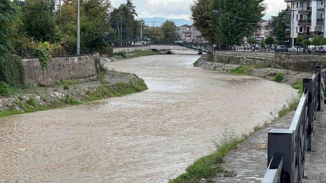 Deredeki Balık Ölümleri Tedirgin Etti