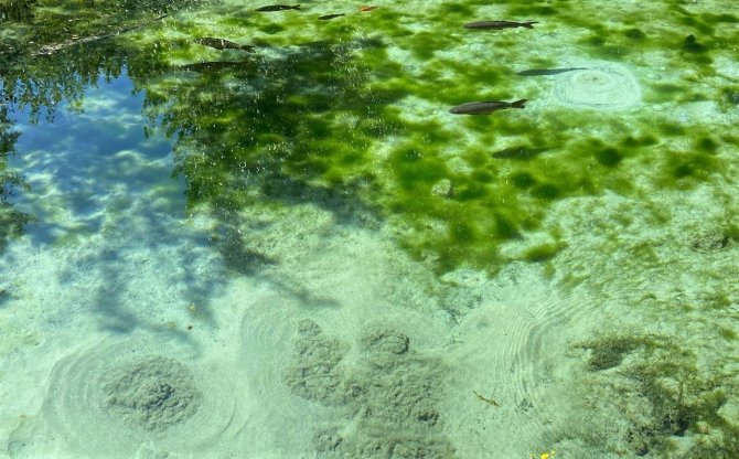 Şehrin Ortasındaki Gizemli Dipsiz Göl, Görenleri Hem Şaşırtıyor Hem De Büyülüyor