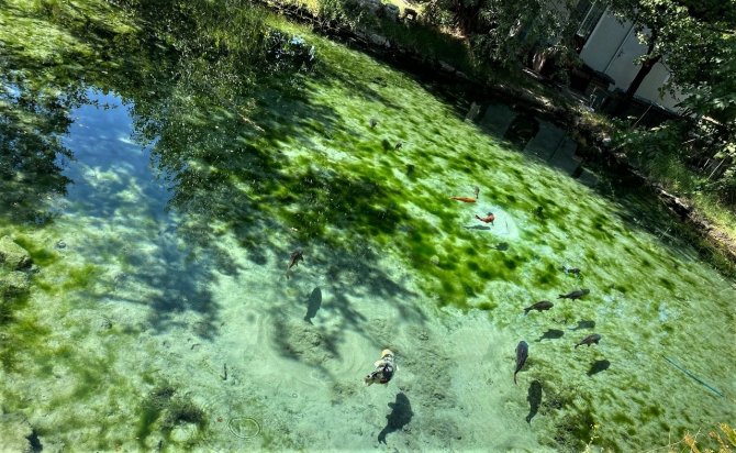 Şehrin Ortasındaki Gizemli Dipsiz Göl, Görenleri Hem Şaşırtıyor Hem De Büyülüyor