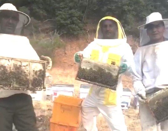Emet’te Arıcılığı Geliştirme Projesi’nde 4 Ayda 7 Ton Bal Elde Edildi
