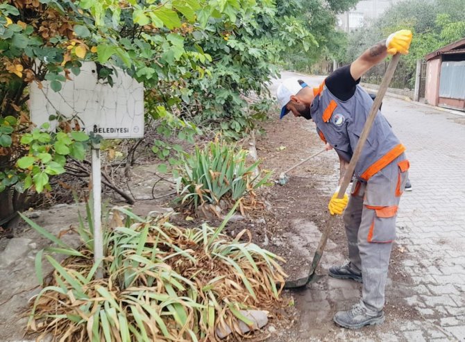Körfez’de Sonbahar Temizliği Başladı