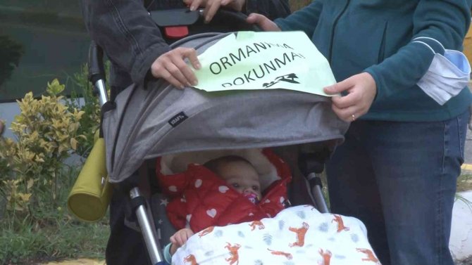 Maltepe’de Ağaç Kesimine Mahalleliden Alkışlı Tepki