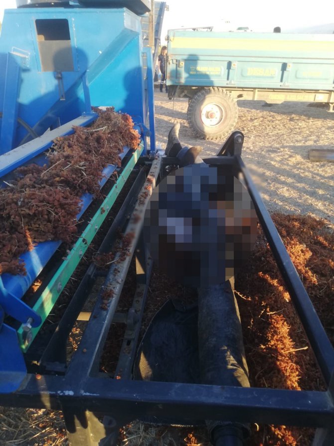 Manisa’da Çiftçinin Feci Ölümü: Üzüm Kaldırma Makinesinde Hayatını Kaybetti