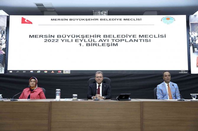 Seçer: "Benim Derdim Kamunun Yararı Ve Meclisin İtibarı"