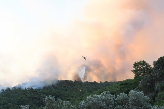 Muğla’daki Yangın Kontrol Altına Alındı